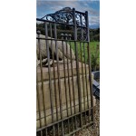 Victorian Church gates